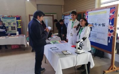 Feria científica 2019