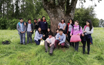 Cuentacuentos: “La memoria del bosque”