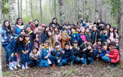 Proyecto ganador de Dale Profe llevó a estudiantes PHP a explorar la biodiversidad en el Sendero Ecológico de Pullinque